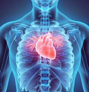 Cardiovascular Medicines